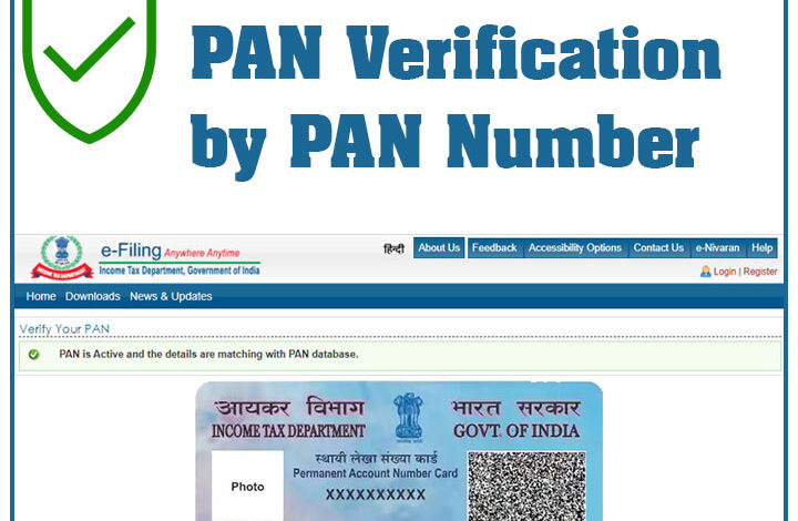 online PAN verification