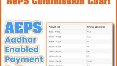 AePS Commission Chart