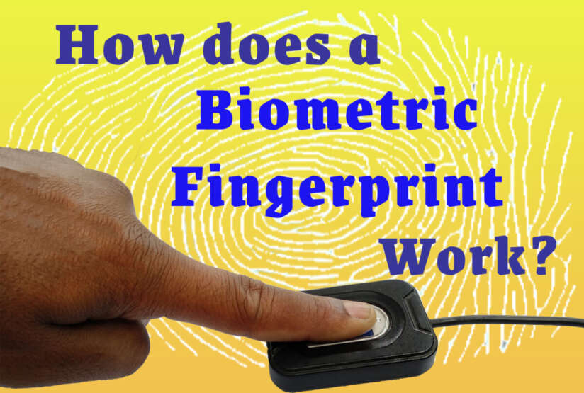 How does a biometric fingerprint scanner work?