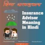 Insurance advisor