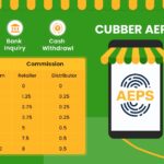 Cubber Store AePS Commission