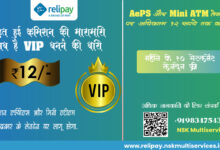 RNFI Services Relipay - VIP Subscription