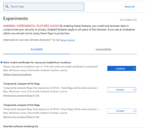 chorme flags allow insecure localhost