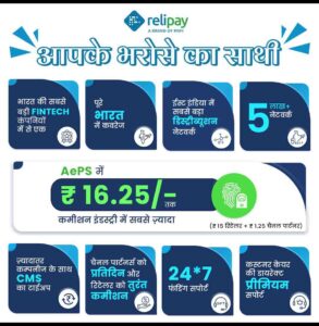 Features of RNFI Services Relipay