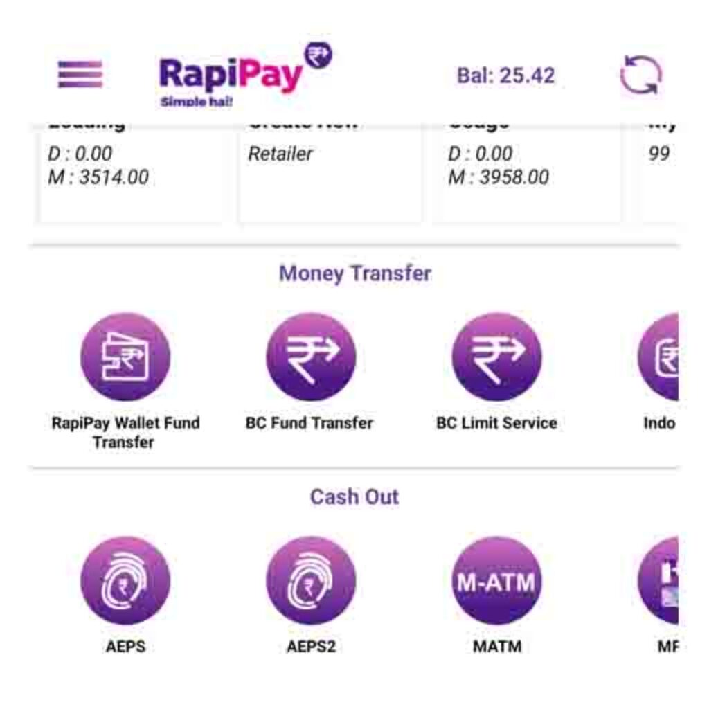 rapipay money transfer