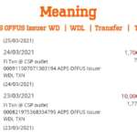 AEPS OFFUS Issuer wd meaning