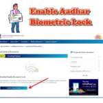 Aadhar biometric unlock online