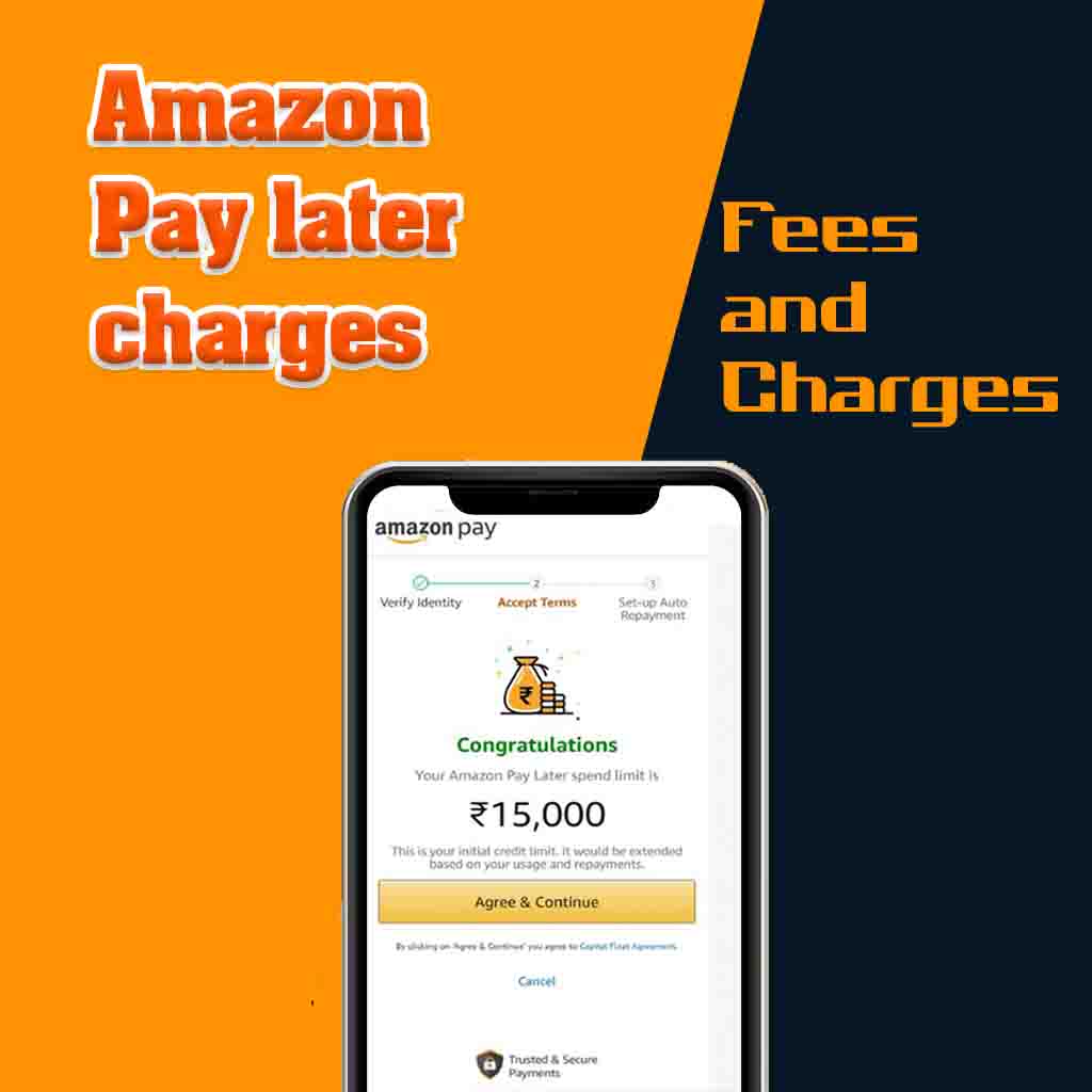 Amazon Pay later charges