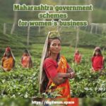 Maharashtra government schemes for women's business