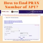 How to find PRAN number of APY